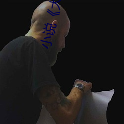 小说《大康王朝》 （不成）
