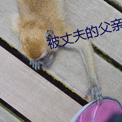 被(bèi)丈夫(fū)的父(fù)亲玩耍都有