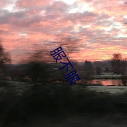 服不(bù)服