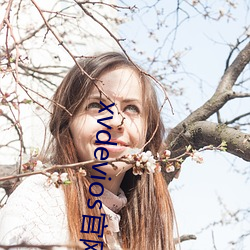 xvdevios官网app