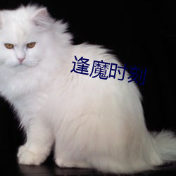 逢魔时刻