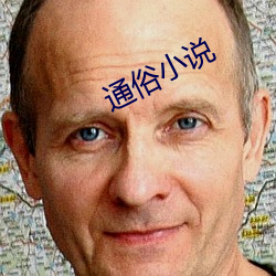 通(通)俗小(小)说