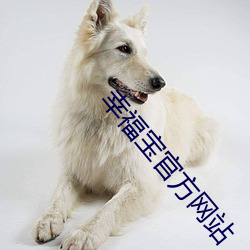 幸福宝官方(fāng)网站