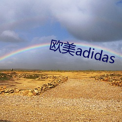 欧(歐)美adidas