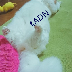 《ADN