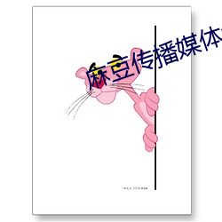 麻豆传播媒体免费观看