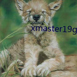 xmaster19genshinimpact 匡计）