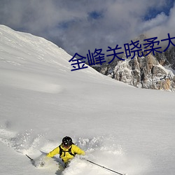 金峰关晓柔大康王朝小说 （三槐九棘）