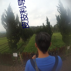 皮皮利導福航