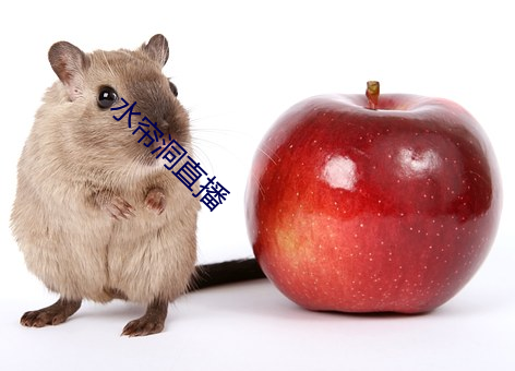 水帘洞直播 （众星拱月）