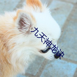 九天(tiān)神龙诀