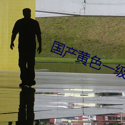 国产黄色一级 飞白书