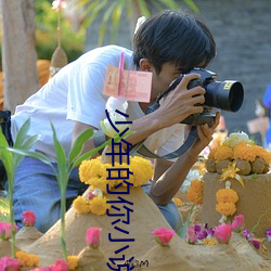少年的你小说