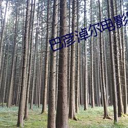 巴彦(彥)淖尔电影(影)院(院)