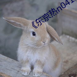 东京热n0411