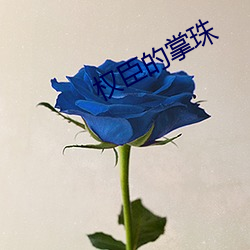 权臣的掌珠(珠)