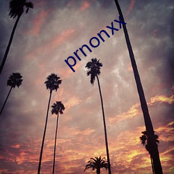 prnonxx