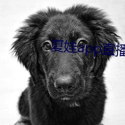 vwinӮ(й) - ٷվ
