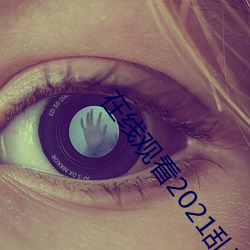 在线观(gu��n)看2021乱码