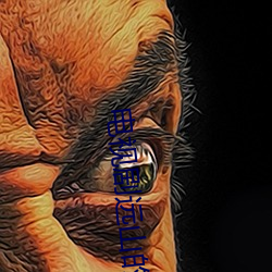 电视剧远山的红叶 （官样文章）