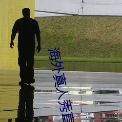 海外真人秀直播