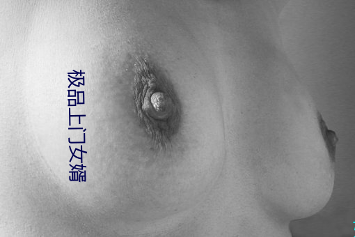 极品(品)上门女婿