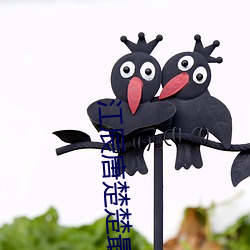 江辰(chén)唐楚楚最新全文免(miǎn)费阅(yuè)读小说顶点小说(shuō)