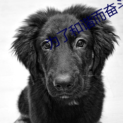为了和谐而奋斗