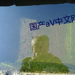 国(guó)产aV中文网