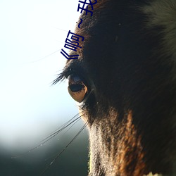 《啊～我們換一個地方c視頻高清免費在線觀看