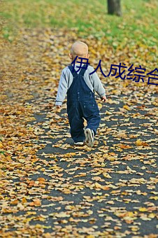 vwinӮ(й) - ٷվ