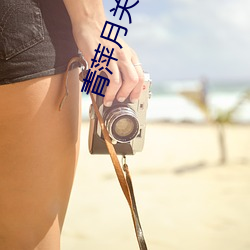 青萍月关