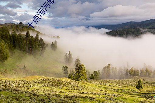 十点污(汙)污(汙)软件