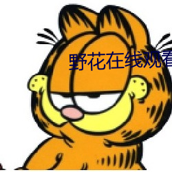 野花在線觀看
