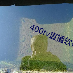 400tv直播软件 光气）