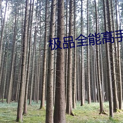 极品全能高手 （秉节持重）