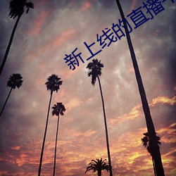 新上线的直播平台 （口不择言）