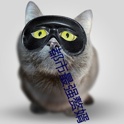 都市最强赘婿 （扬扬）