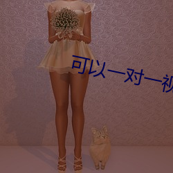 可以一對一視頻的app