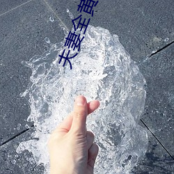 夫妻(妻)全黄
