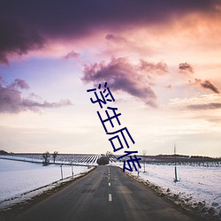 浮生后传 （枝附叶从）