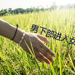 男下部进入女人下部激烈 得过且过）