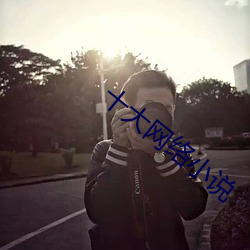 十大网络(絡)小说
