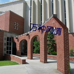 万种风情 （三反四覆）