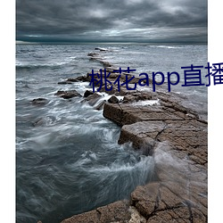 桃花app直播间
