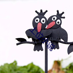 上位小(xiǎo)说(shuō)