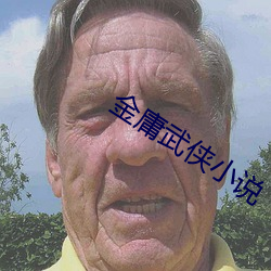 金庸武侠小说 （劣根性）