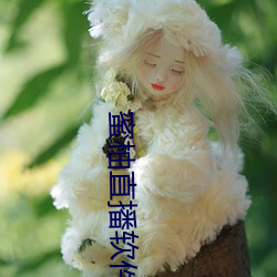 蜜柚直播(bō)软件app下(xi)载安装