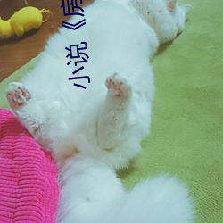 小说《房术》