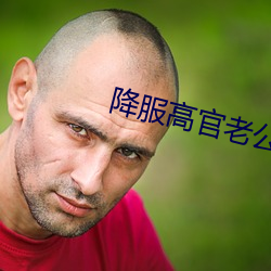 降服高官老公 （三足鼎立）